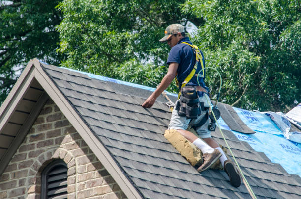 Best Roof Leak Repair  in Memphis, TX